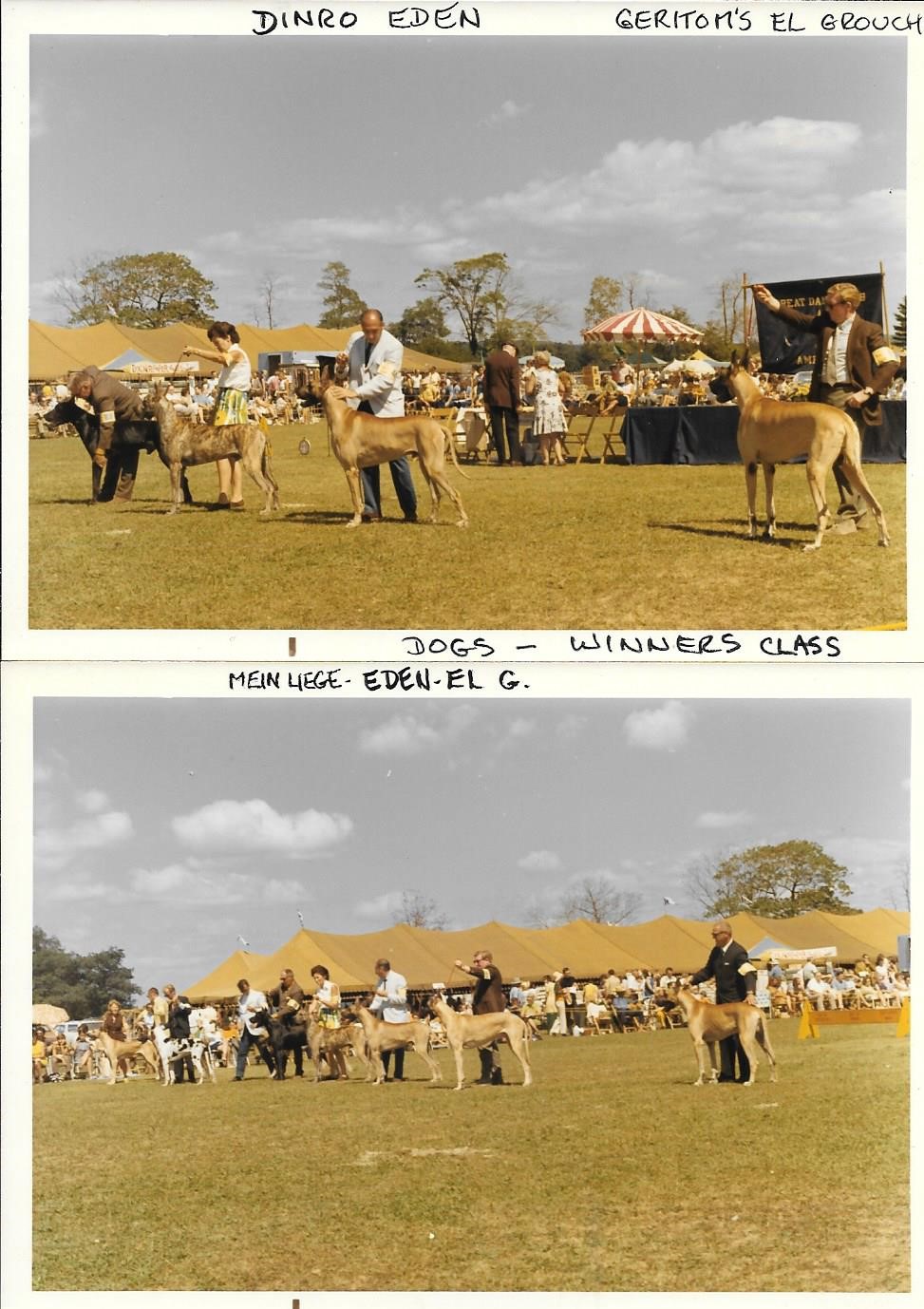 Westchester 1970 Winners Dog Class